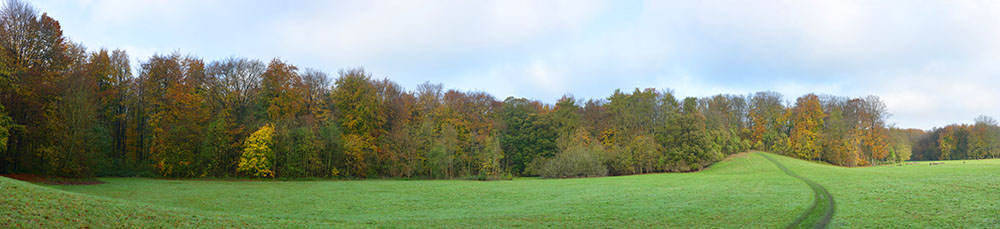 Preview wiesenweg 1.jpg